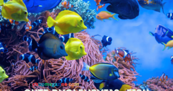 Discover the Adorable World of Fish: Why cute:dvql5n9v310= fish Are Perfect for Your Aquarium