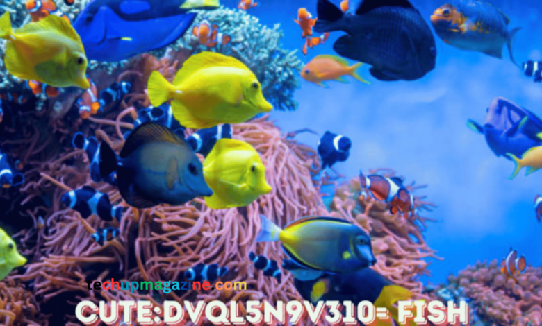 cute:dvql5n9v310= fish